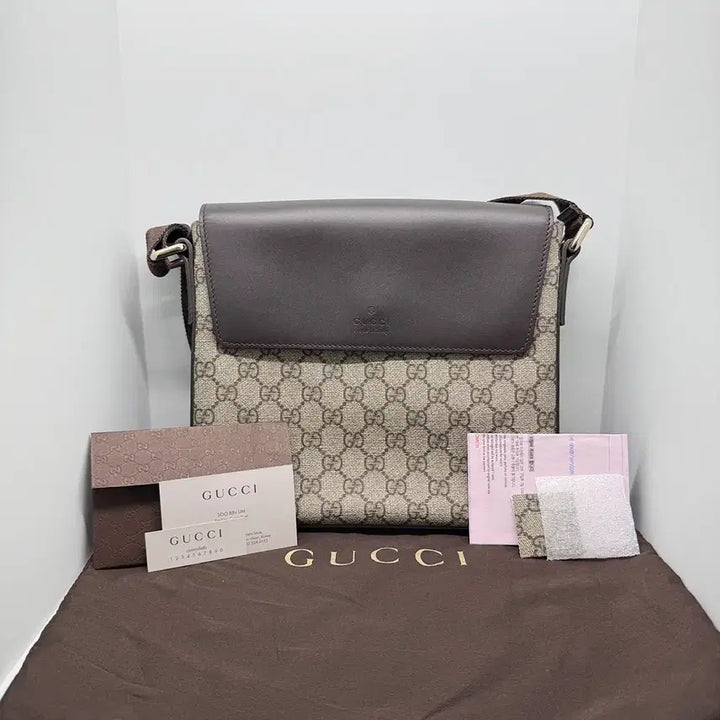 [BUNJANG] Gucci GG Supreme Web Messenger Bag / [구찌] 남성 크로스백 353430 GG수프림 WEB 캔버스 / A+급