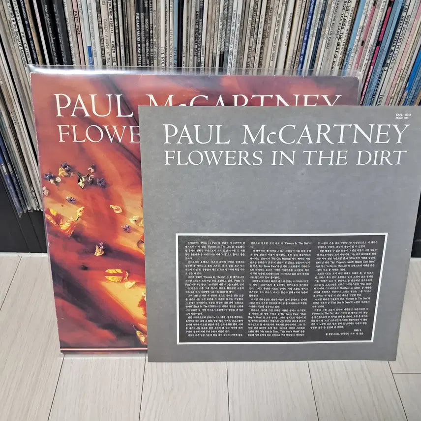 [BUNJANG] Paul McCartney 1989 Album / LP..폴매카트니(비틀즈)1989년
