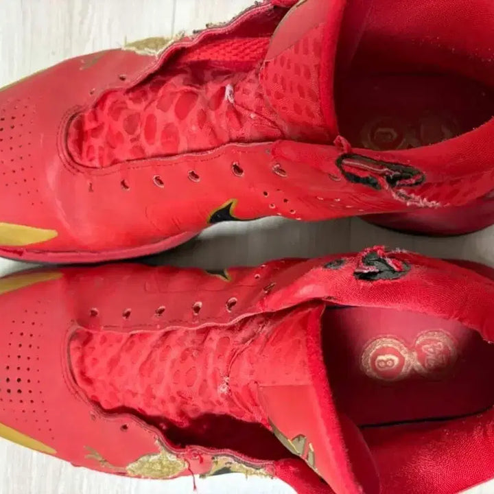 [BUNJANG] Kobe 5 Basketball Shoes / 코비5