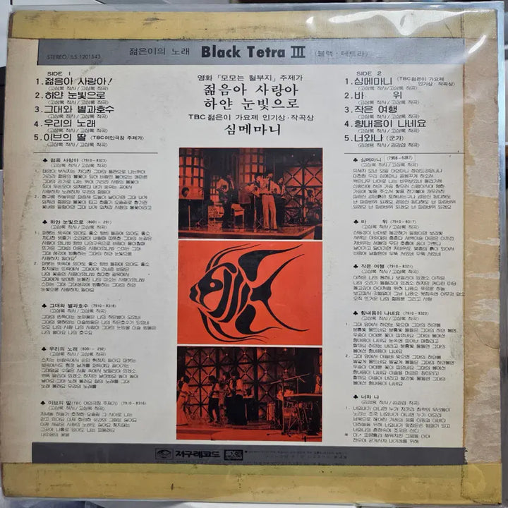 [BUNJANG] Black Tetra Album / 열대어 블랙테트라 3 (젊음아! 사랑아!/하얀눈빛으로/심메마니)