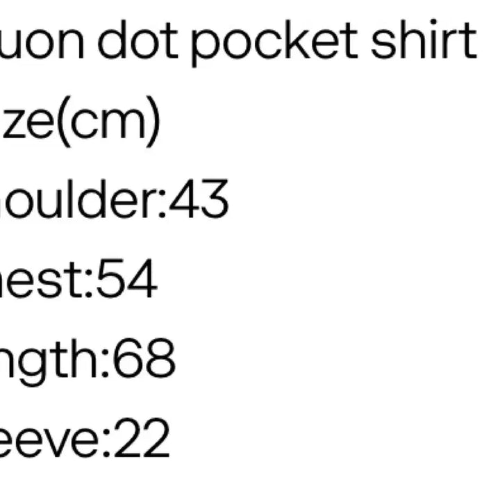 [BUNJANG] Vintage Dot Shirt / 일본빈티지 도트 셔츠