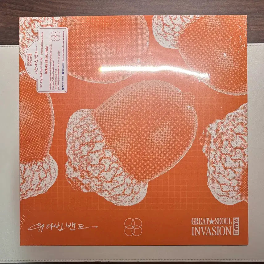 [SOLD OUT] 유다빈밴드 GSI Lp(미개봉)