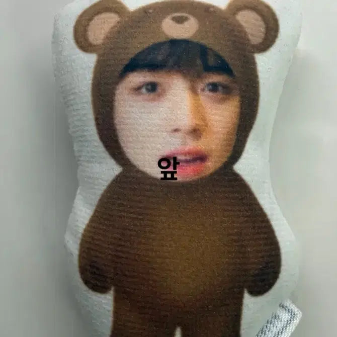 [SOLD OUT] 박지훈 얼굴 판매 양도 프린팅 인형 워너원 왕사남 취사병 소심이 뽑봉