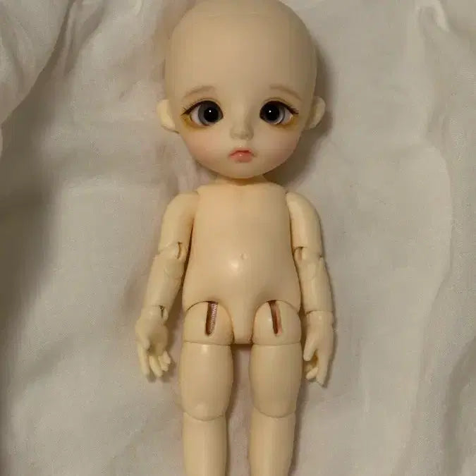 [BUNJANG] Linachouchou Baby Daisy Full Set Doll / 리나슈슈 베이비 데이지 판매