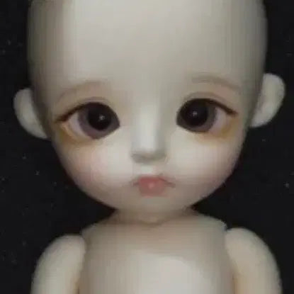 [BUNJANG] Linachouchou Baby Daisy Full Set Doll / 리나슈슈 베이비 데이지 판매