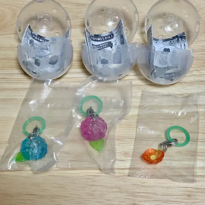 [SOLD OUT] 마음을 전하는 꽃말 메지루시 키링 가챠 (3종 일괄)