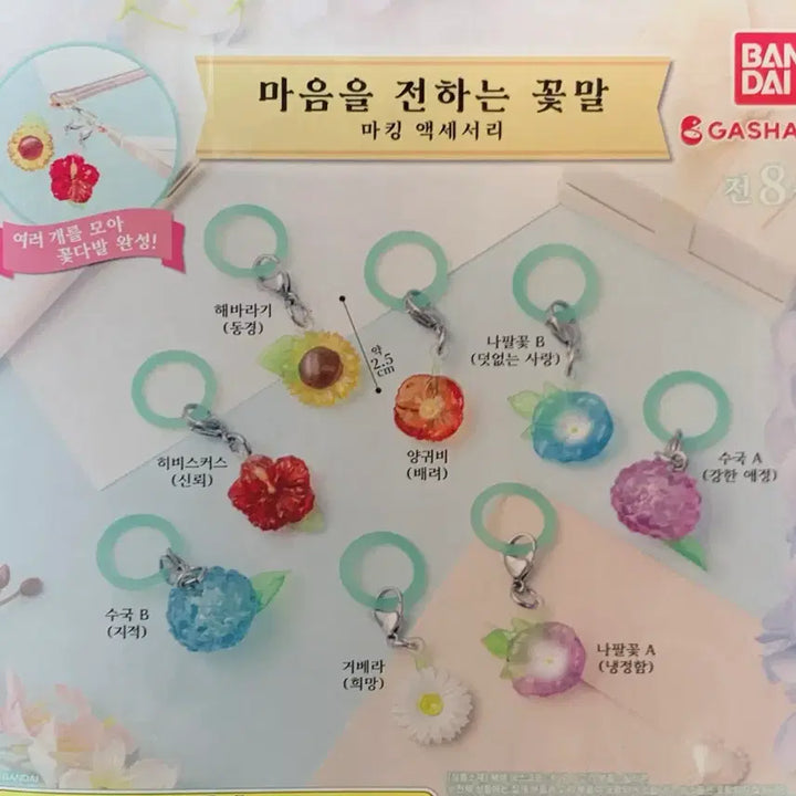 [SOLD OUT] 마음을 전하는 꽃말 메지루시 키링 가챠 (3종 일괄)