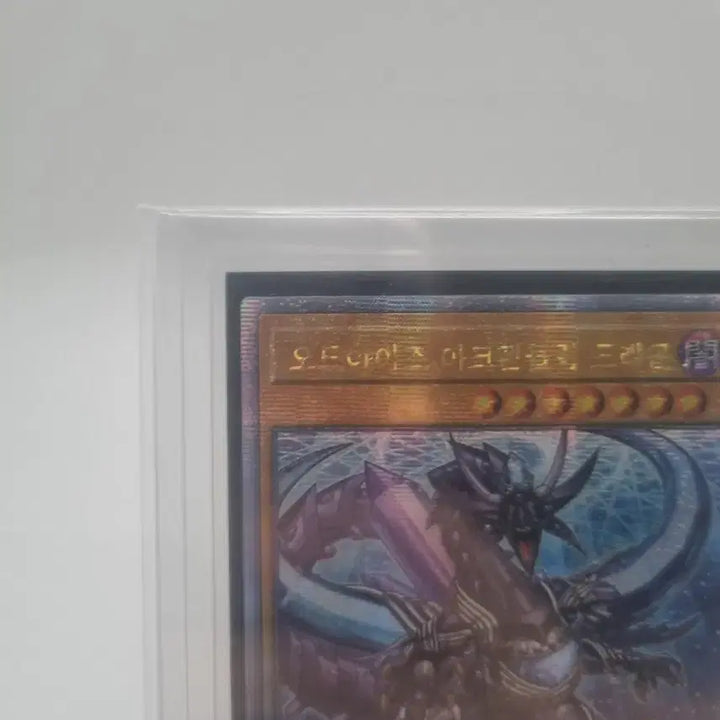 [BUNJANG] Yu-Gi-Oh! 25th Anniversary Odd-Eyes Arc Pendulum Dragon Card / 유희왕 25주년 오드아이즈 아크펜듈럼 드래곤 판매합니다.