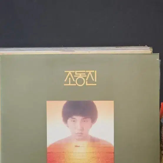 [BUNJANG] Jo Dong Jin LP Record / 조동진  LP 음반