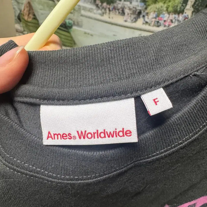 [BUNJANG] Ames HEM Worldwide Crop T-shirt / Ames HEM 아메스 월드와이드 반팔 크롭 티셔츠 그레이