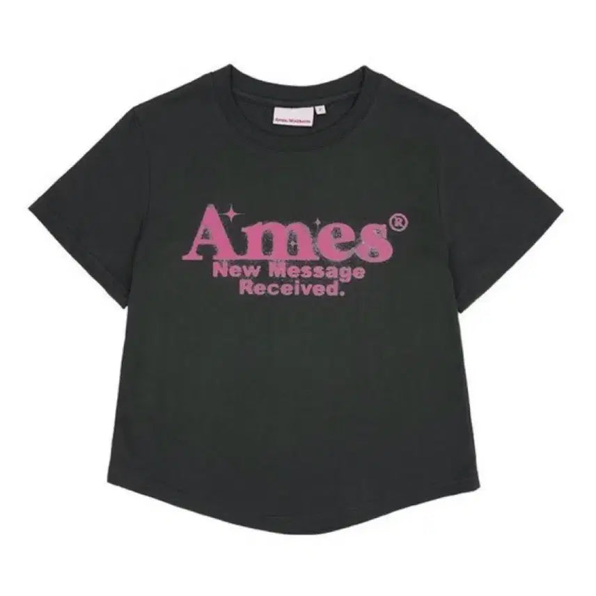 [BUNJANG] Ames HEM Worldwide Crop T-shirt / Ames HEM 아메스 월드와이드 반팔 크롭 티셔츠 그레이