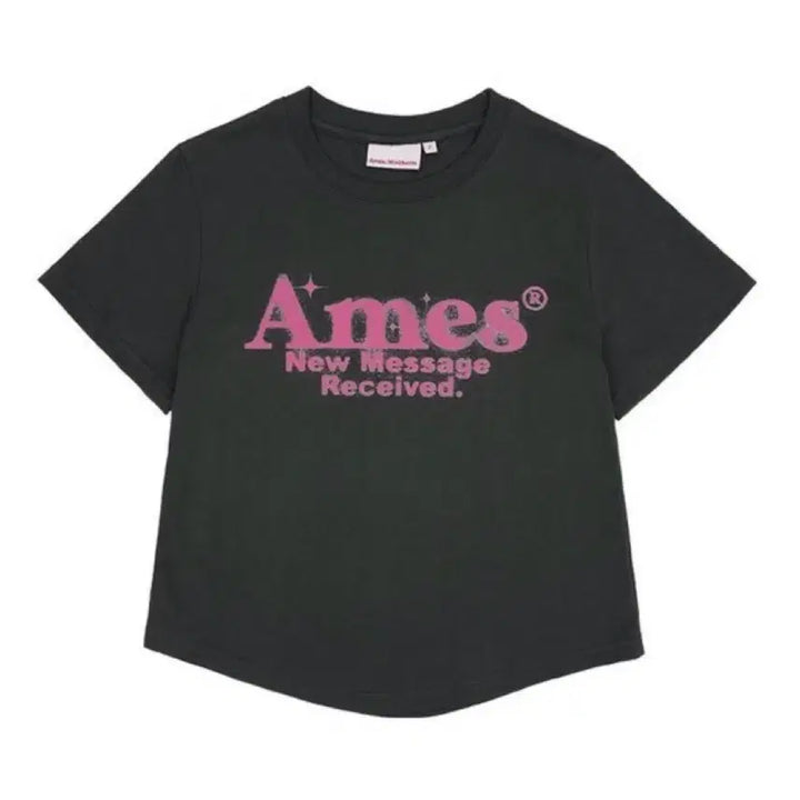 [BUNJANG] Ames HEM Worldwide Crop T-shirt / Ames HEM 아메스 월드와이드 반팔 크롭 티셔츠 그레이