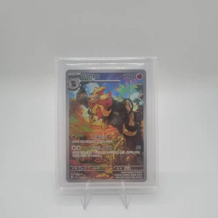 [BUNJANG] Pokemon Pyroar AR Card / 포켓몬 화염레오 AR카드 판매합니다.