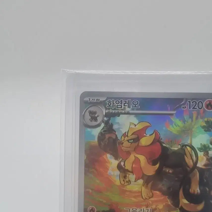 [BUNJANG] Pokemon Pyroar AR Card / 포켓몬 화염레오 AR카드 판매합니다.