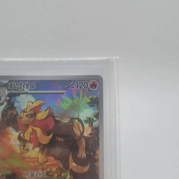 [BUNJANG] Pokemon Pyroar AR Card / 포켓몬 화염레오 AR카드 판매합니다.
