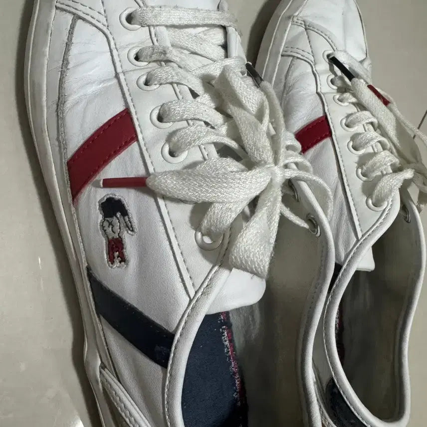 [BUNJANG] Lacoste 260 Shoes / 라코스테 260사이즈(265까지 가능)
