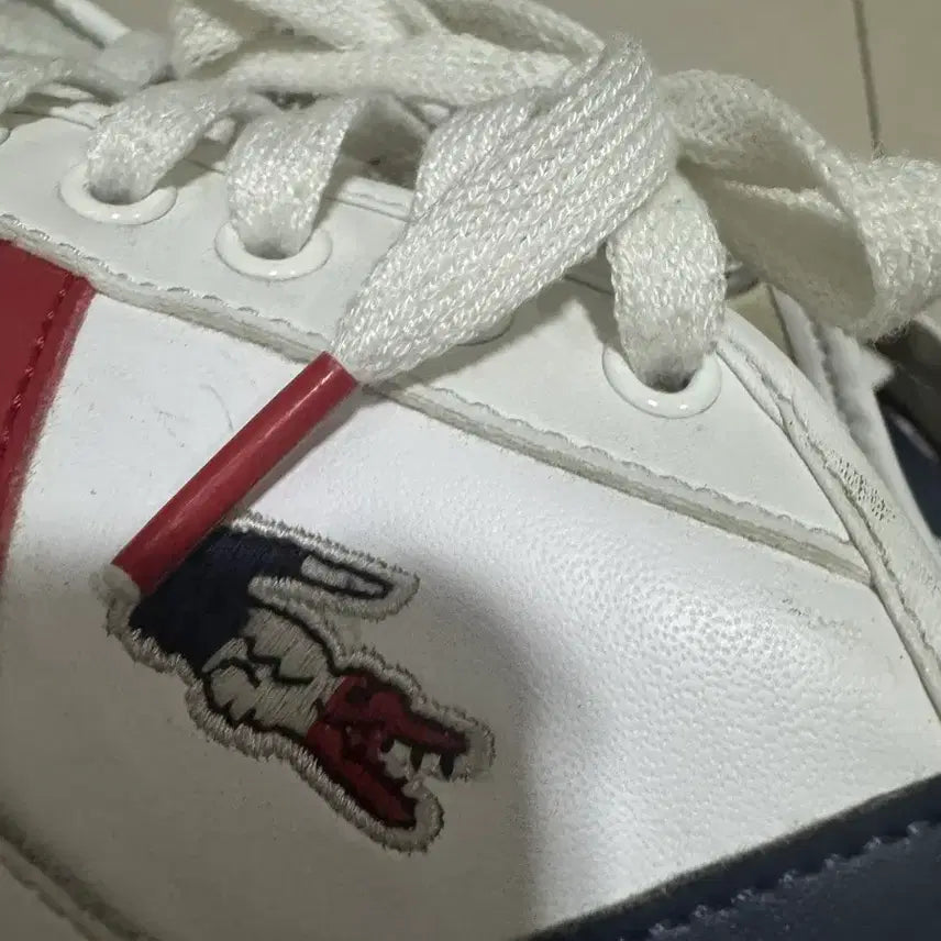 [BUNJANG] Lacoste 260 Shoes / 라코스테 260사이즈(265까지 가능)