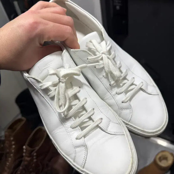 [BUNJANG] Common Projects Achilles Low Sneakers / 커먼프로젝트 아킬레스 로우 40