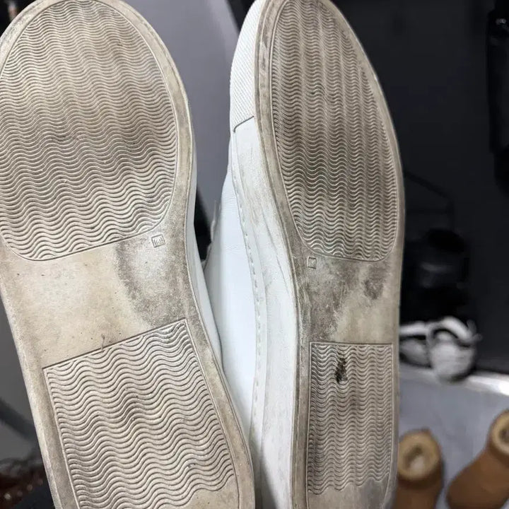 [BUNJANG] Common Projects Achilles Low Sneakers / 커먼프로젝트 아킬레스 로우 40