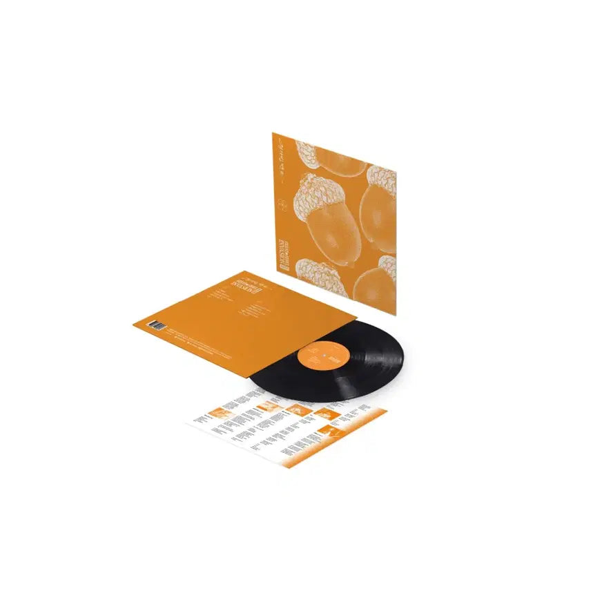 [SOLD OUT] 미개봉 유다빈 밴드 GSI Edition Lp