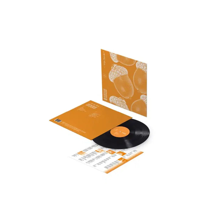 [SOLD OUT] 미개봉 유다빈 밴드 GSI Edition Lp
