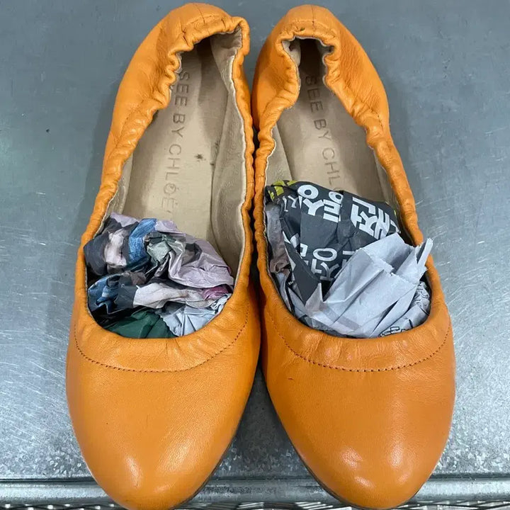 [BUNJANG] Chloé Ballerina Flat Shoes / 끌로에 발레리나 플랫 슈즈 36.5 (gr-4529)