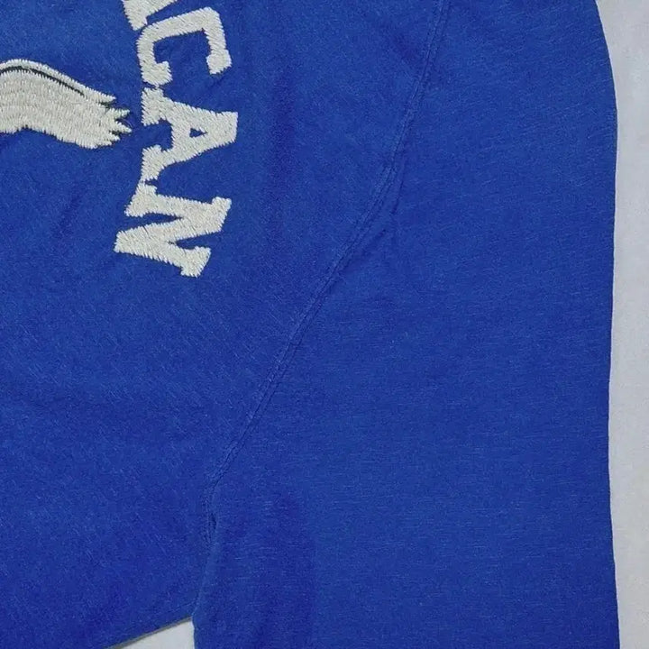 [BUNJANG] American Eagle Embroidered Logo Vintage T-Shirt (Blue) / [XL] 아메리칸 이글 빅 로고 자수 빈티지 티셔츠 (블루)