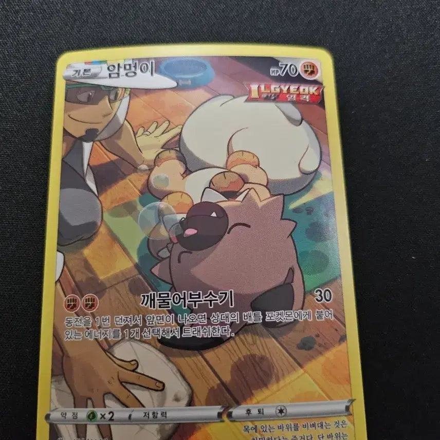 [BUNJANG] Pokemon Rockruff CHR Card / 포켓몬 암멍이 CHR 202/184 카드