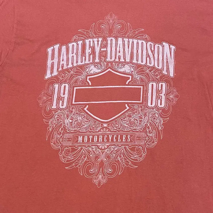 [BUNJANG] Harley-Davidson Vintage T-shirt / 미국 빈티지 할리데이비슨 레어 컬러 반팔티