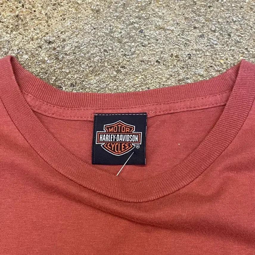 [BUNJANG] Harley-Davidson Vintage T-shirt / 미국 빈티지 할리데이비슨 레어 컬러 반팔티