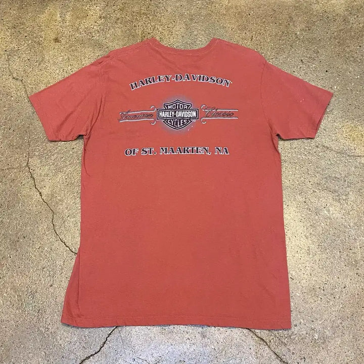 [BUNJANG] Harley-Davidson Vintage T-shirt / 미국 빈티지 할리데이비슨 레어 컬러 반팔티