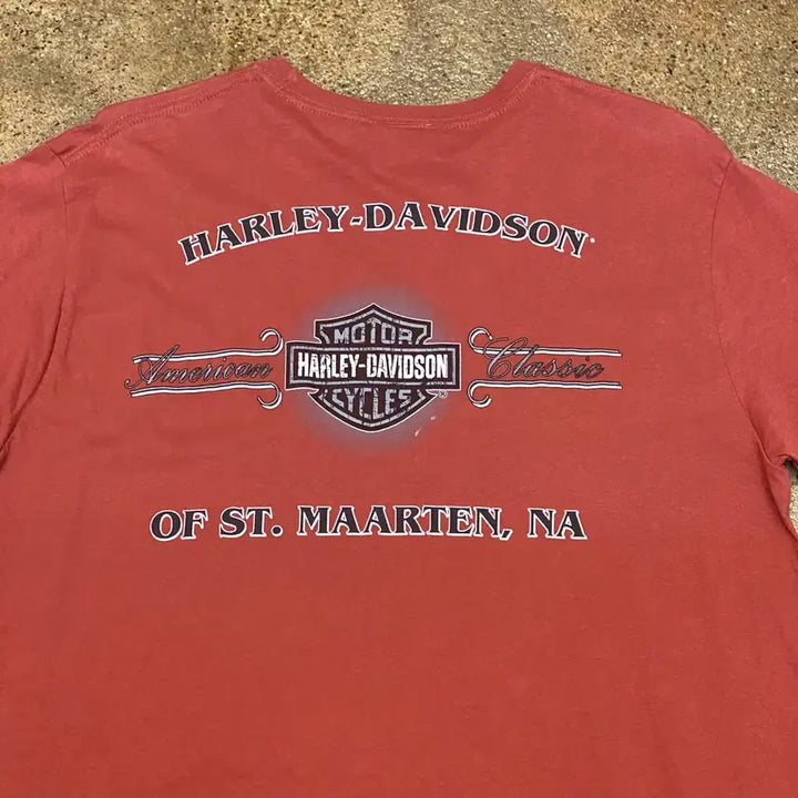 [BUNJANG] Harley-Davidson Vintage T-shirt / 미국 빈티지 할리데이비슨 레어 컬러 반팔티