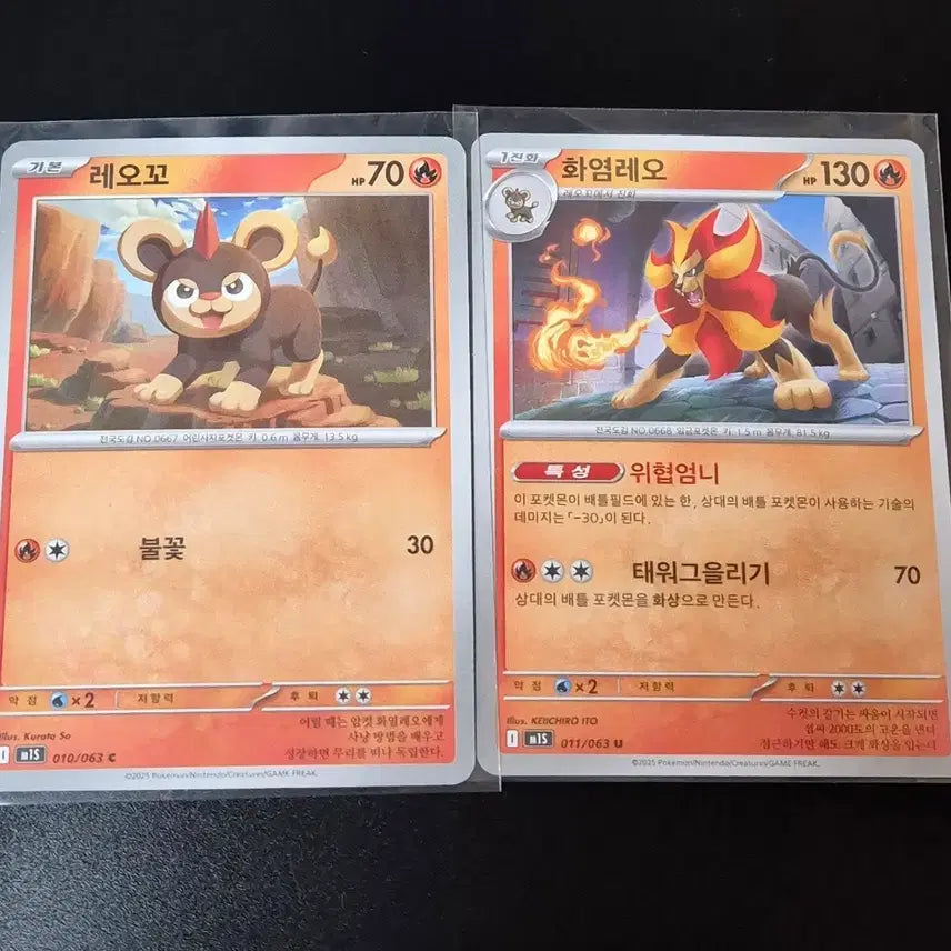 [BUNJANG] Pokemon LeoLeo and FlameLeo Card Bundle Set / 일괄) 포켓몬 레오꼬, 화염레오 카드