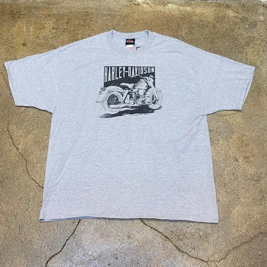 [BUNJANG] Harley-Davidson Denali Big Logo T-shirt / 미국 빈티지 할리데이비슨 데날리 빅로고 오토 반팔티