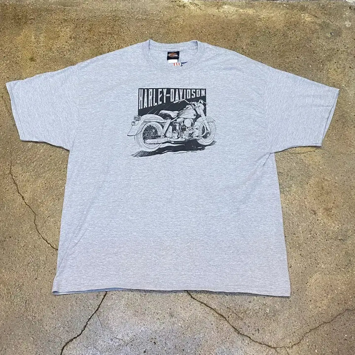 [BUNJANG] Harley-Davidson Denali Big Logo T-shirt / 미국 빈티지 할리데이비슨 데날리 빅로고 오토 반팔티