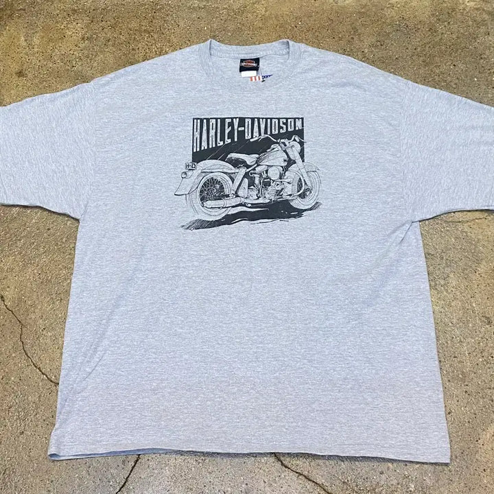 [BUNJANG] Harley-Davidson Denali Big Logo T-shirt / 미국 빈티지 할리데이비슨 데날리 빅로고 오토 반팔티