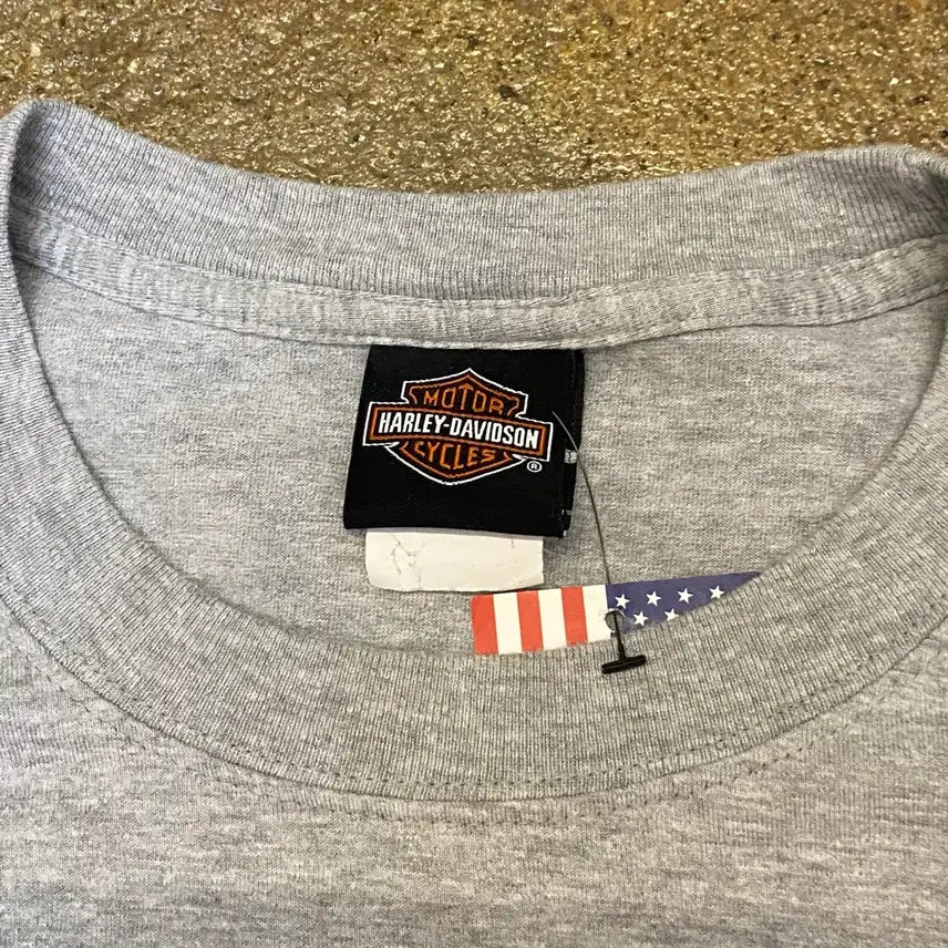 [BUNJANG] Harley-Davidson Denali Big Logo T-shirt / 미국 빈티지 할리데이비슨 데날리 빅로고 오토 반팔티