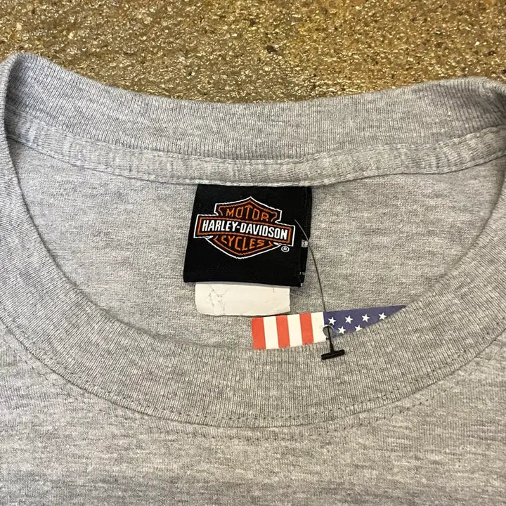 [BUNJANG] Harley-Davidson Denali Big Logo T-shirt / 미국 빈티지 할리데이비슨 데날리 빅로고 오토 반팔티