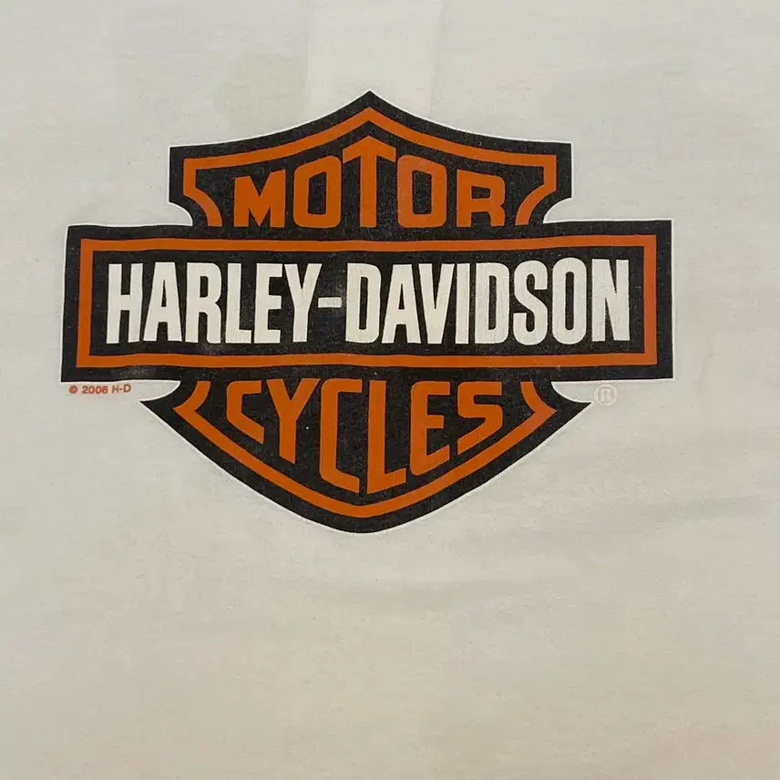 [BUNJANG] Harley Davidson Vintage Big Logo T-shirt / 미국 빈티지 할리데이비슨 빅로고 레어 반팔티