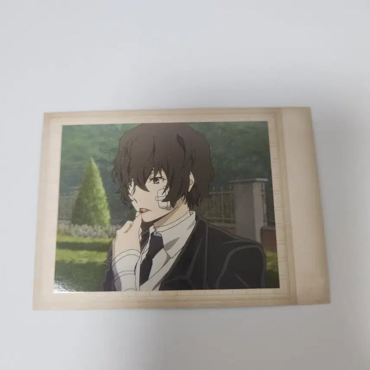 [BUNJANG] Bungo Stray Dogs Dazai Osamu PASH! Colle / 문스독 다자이 오사무 파샤코레