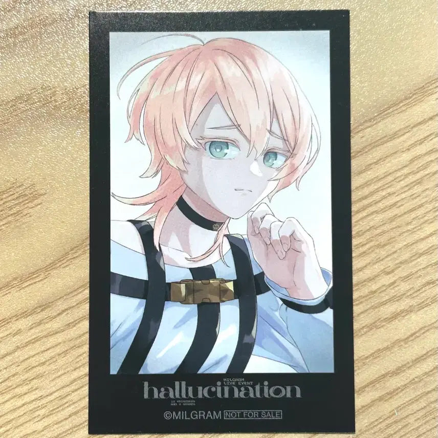 [BUNJANG] Milgram Kusunoki Muu Hallucination Photocard / 밀그램 Milgram 쿠스노키 무우 할루시네이션 포토카드 포카 판매