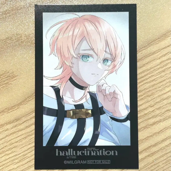 [BUNJANG] Milgram Kusunoki Muu Hallucination Photocard / 밀그램 Milgram 쿠스노키 무우 할루시네이션 포토카드 포카 판매
