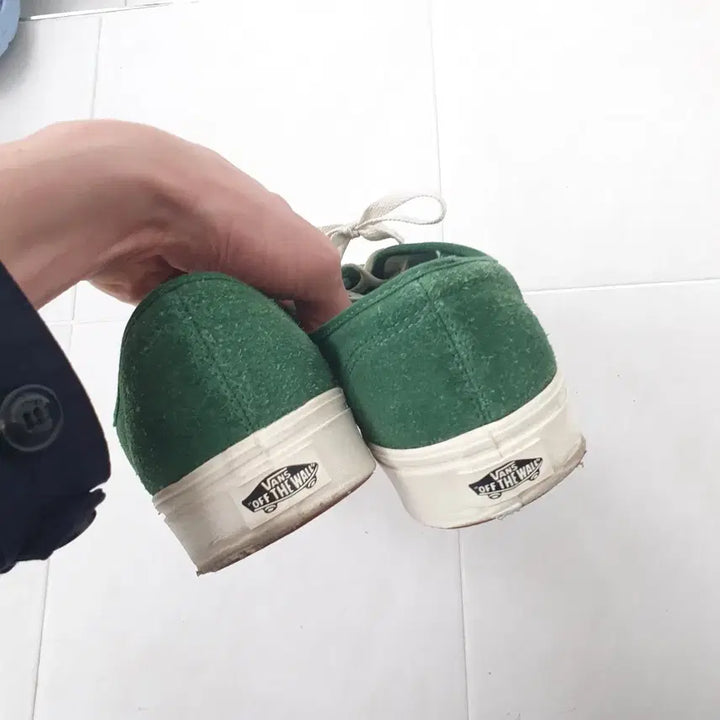 [BUNJANG] Vans Authentic Comfycush Suede Sneakers / 반스 어센틱 컴피쿠시 스웨이드 그린