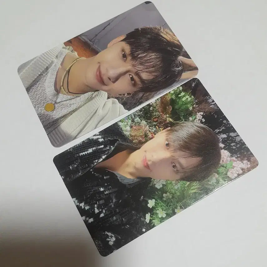 [SOLD OUT] (34장 일괄) 세븐틴 포카