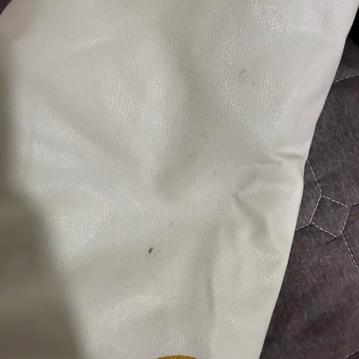 [SOLD OUT] 성균관대 융합생명공학과 과잠 학잠 베이지