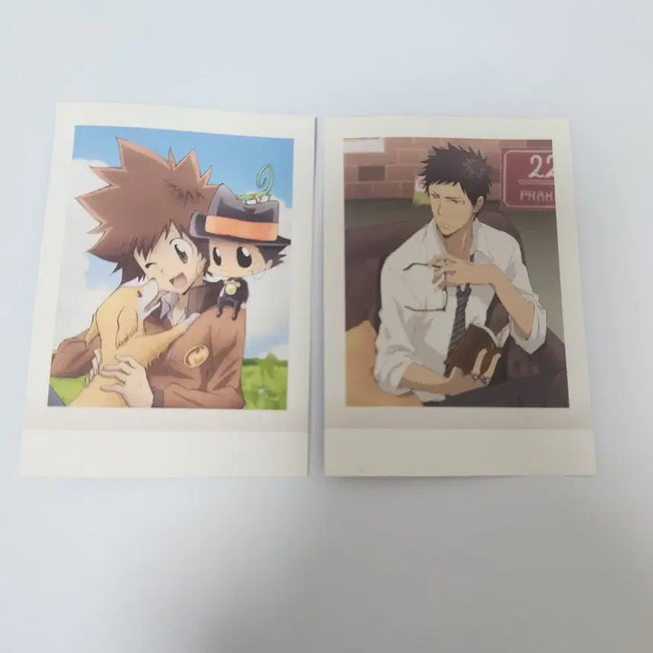 [BUNJANG] Katekyo Hitman Reborn! PASH! Kore Bundle Set / 가정교사 히트맨 리본 파샤코레 일괄