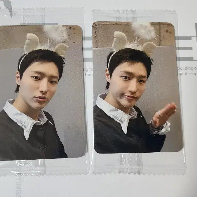 [BUNJANG] WOODZ Archive.1 Harulara POB Photocard Set / WOODZ 우즈 Archive.1 케타포 대면 하룰라라 미공포 양도 판매