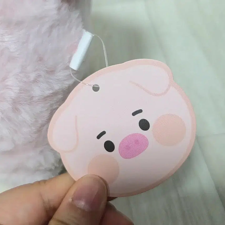 [SOLD OUT] 돼지 스탠딩 눈썹이 중형인형 판매합니다