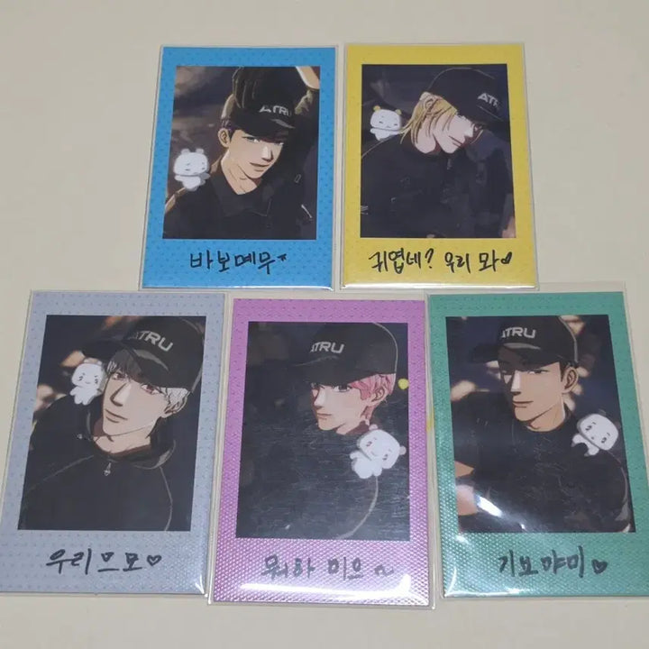 [SOLD OUT] 플레이브 칼리고 파트2 폴라로이드 드볼 세트 팝니다