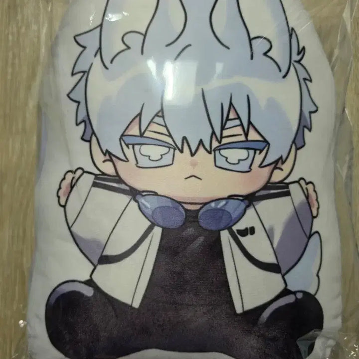 [BUNJANG] Toonique Cheongho Character Cushion / (급전) 너찾파 투니크 청호 캐릭터 쿠션 판매 너를 찾는 파도
